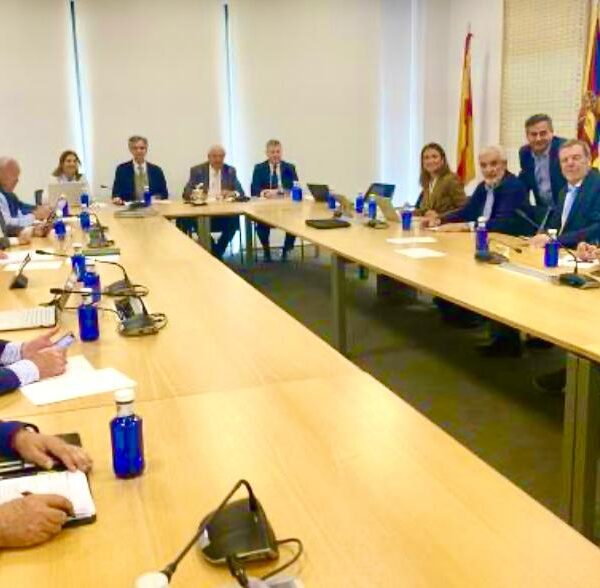 Juan Pintor participa en la reunión de presidentes autonómicos de la RFEG